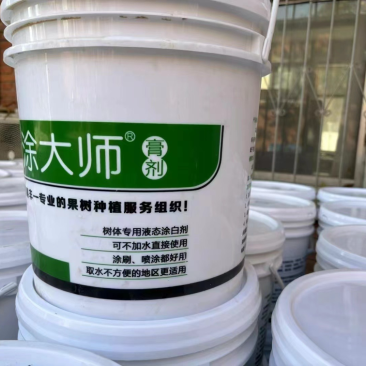 园林果树涂白剂防虫防冻安全越冬