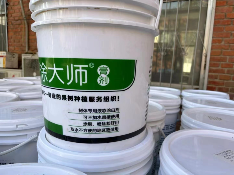 园林果树涂白剂防虫防冻安全越冬