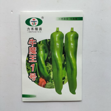 牛魔王1号牛角椒种子大果型膨果快连续结果能力强辣椒