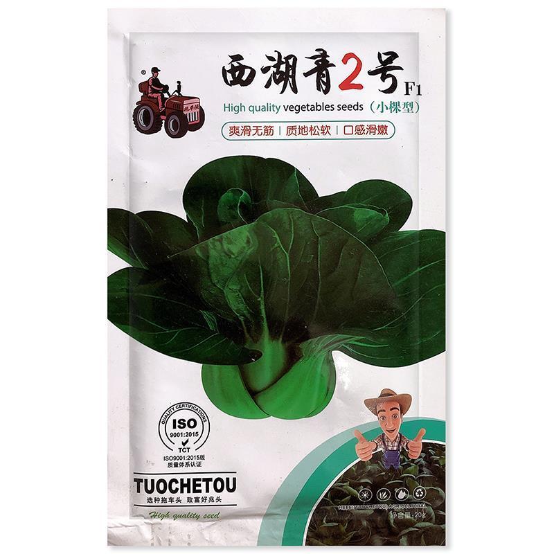 西湖青2号青梗菜种子油菜生长期短四季播种阳台菜园青菜