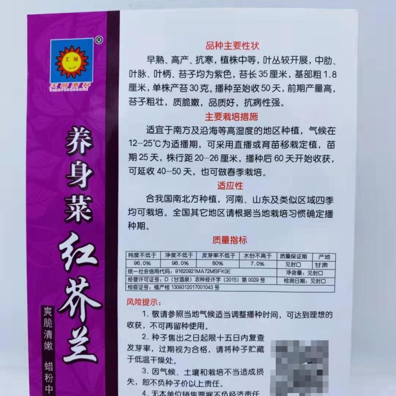 红梗香芥蓝种子红脚芥兰红菜苔红菜心红梗甜芥蓝四季蔬菜种孑
