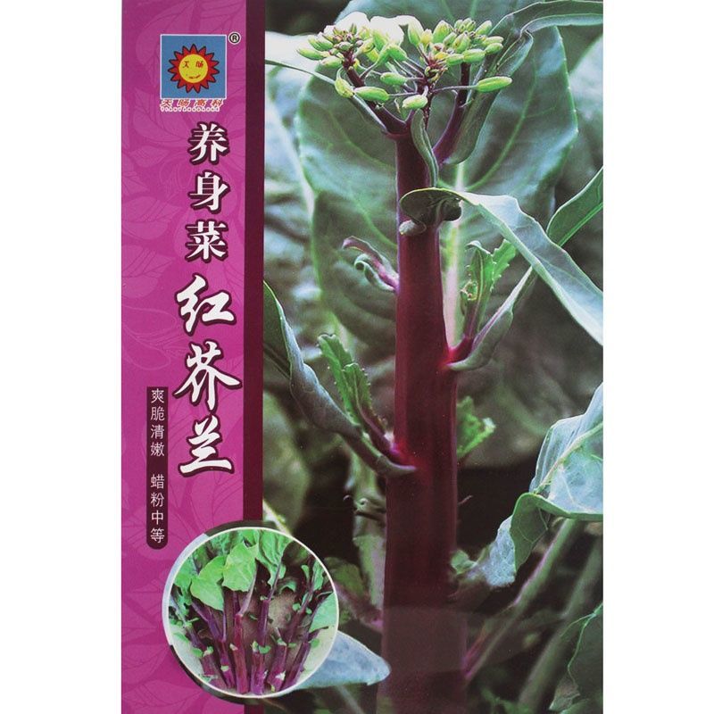 红梗香芥蓝种子红脚芥兰红菜苔红菜心红梗甜芥蓝四季蔬菜种孑