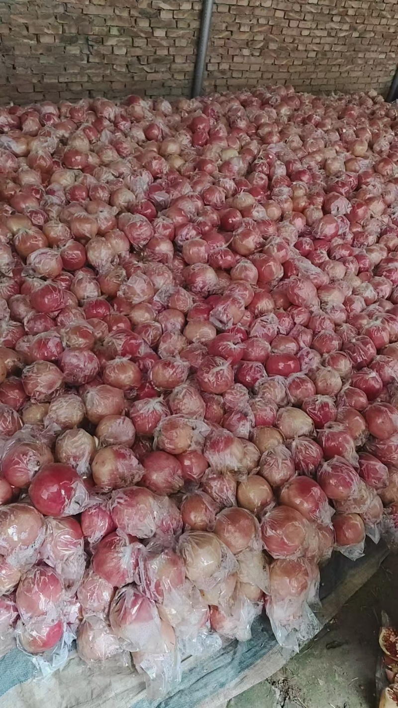礼泉石榴大量现货需要价格便宜