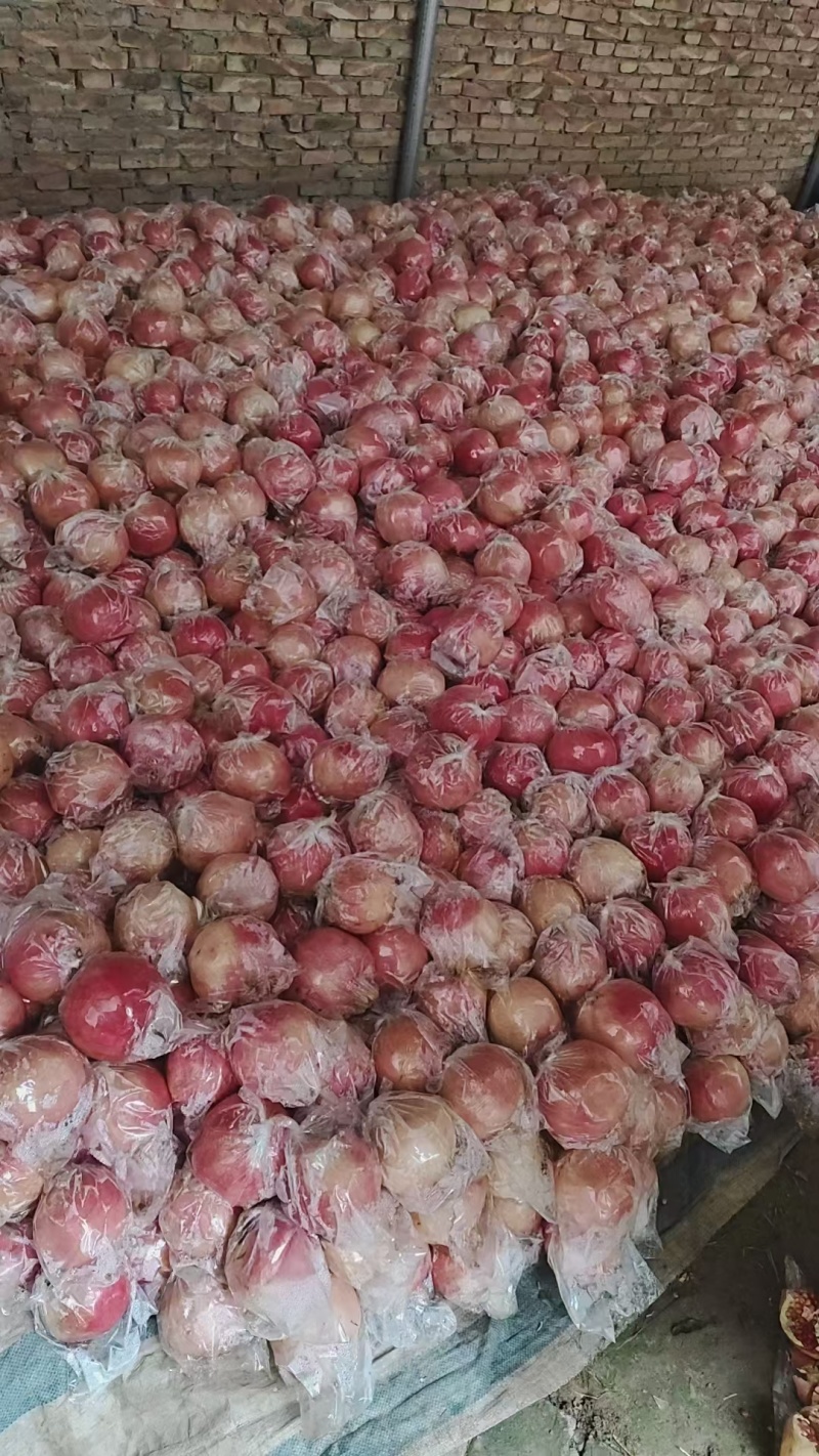 礼泉石榴大量现货需要价格便宜