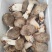 精品虎掌菌云南食用菌产地直供