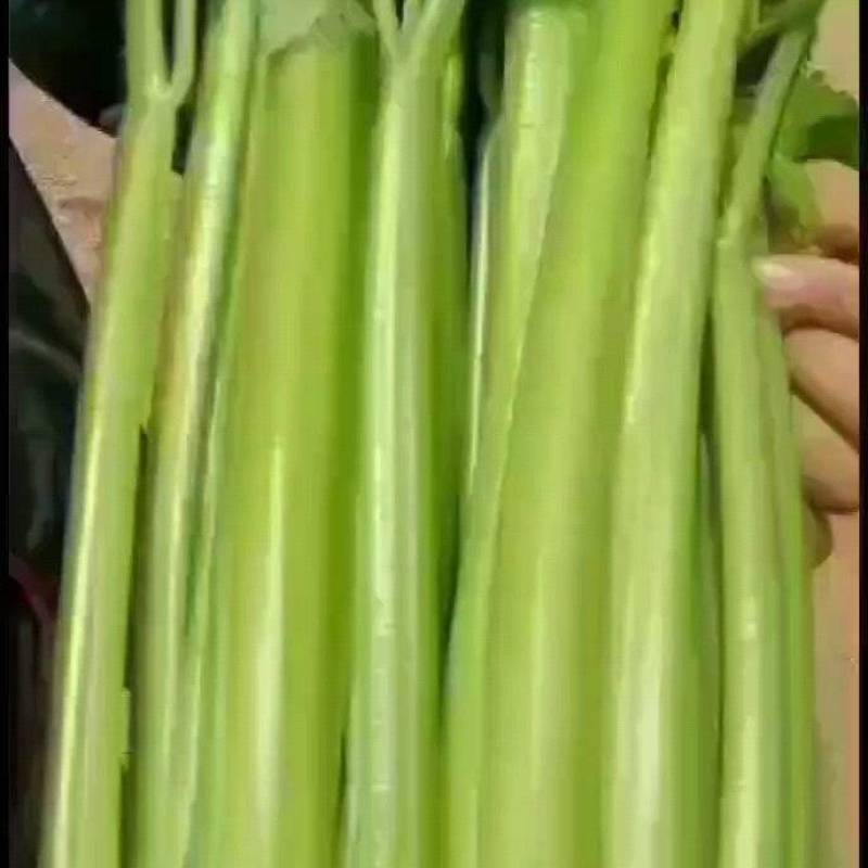 西芹