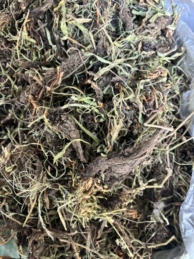 水洗甘松，干净够绿，全网***，一手货源，长期供应