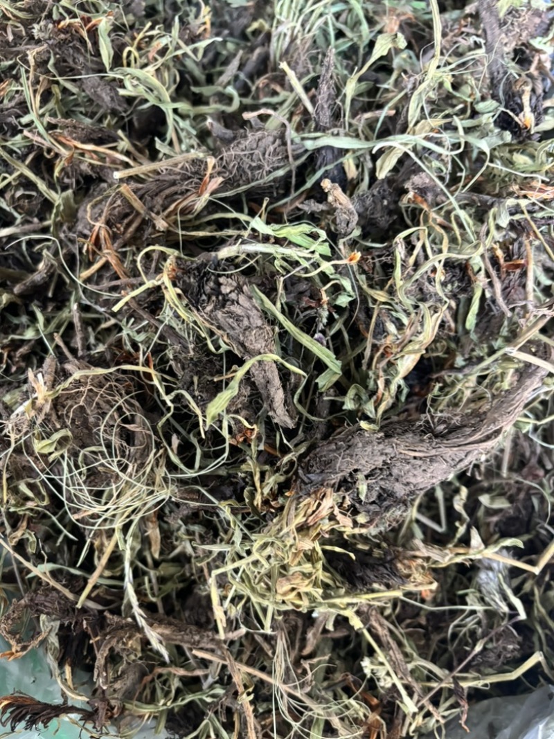 水洗甘松，干净够绿，全网***，一手货源，长期供应