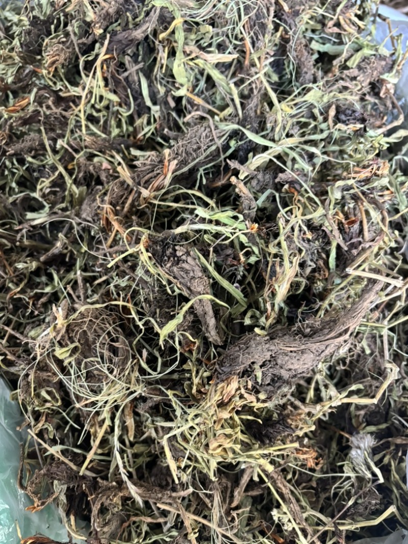 水洗甘松，干净够绿，全网***，一手货源，长期供应