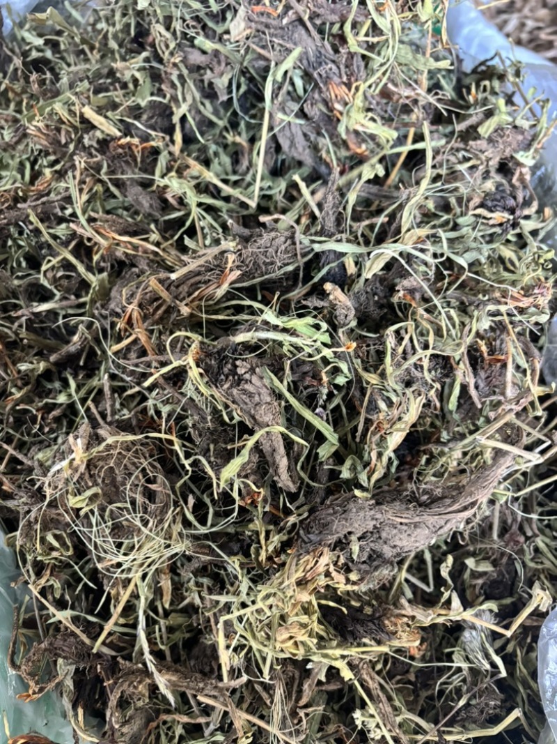 水洗甘松，干净够绿，全网***，一手货源，长期供应