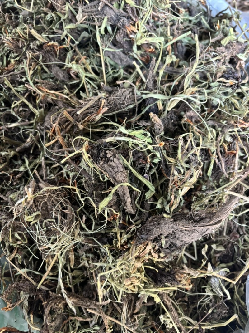水洗甘松，干净够绿，全网***，一手货源，长期供应