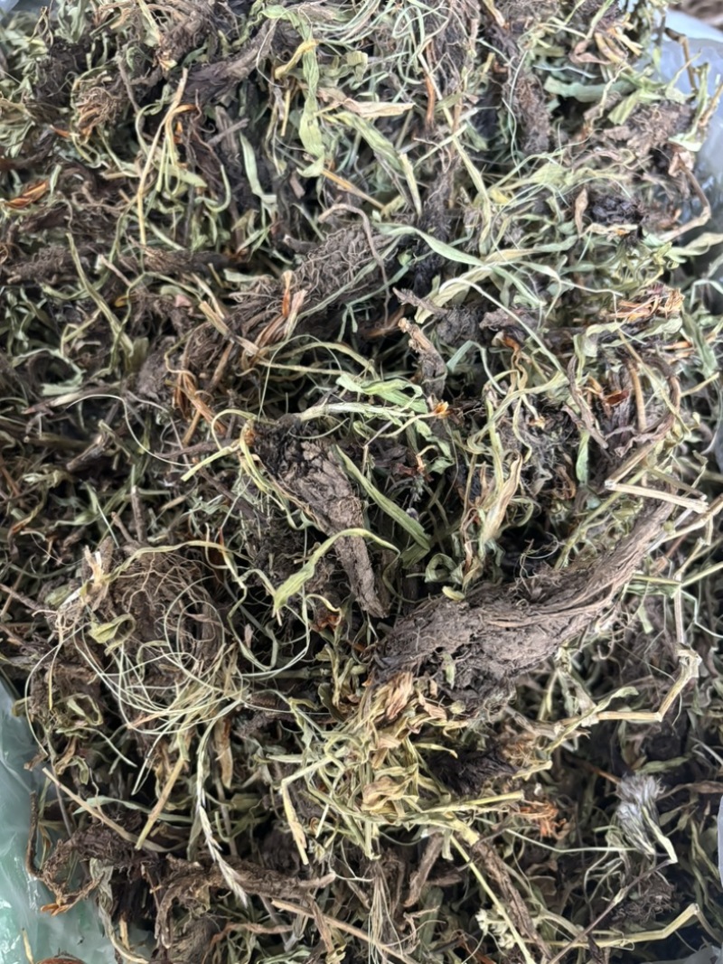 水洗甘松，干净够绿，全网***，一手货源，长期供应