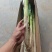 大葱一件代发，专业专注，各类生鲜，山东特产，一件代发，各