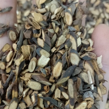 桂枝尖，精品桂枝尖广西货，无流需要的老板直接下单，不包邮