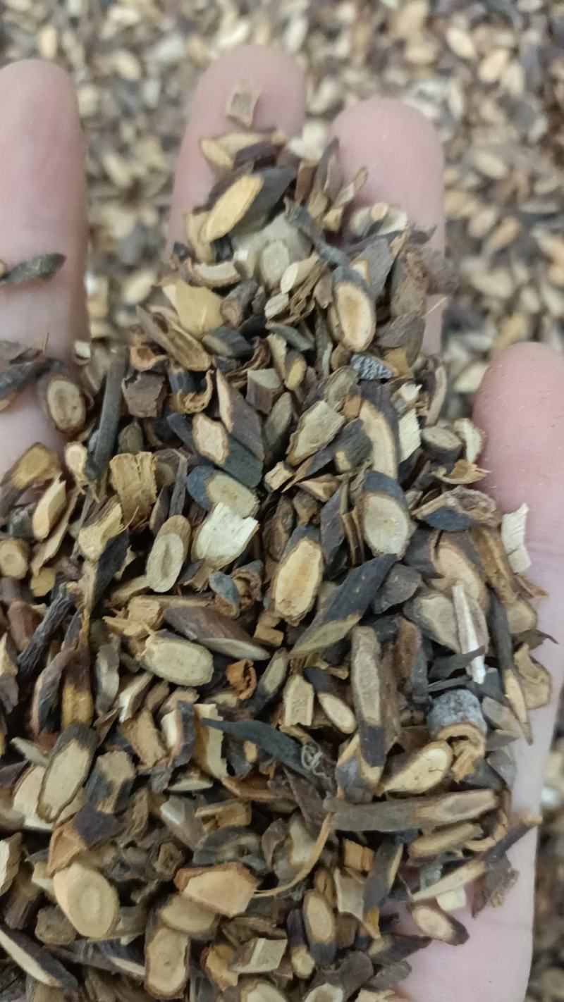 桂枝尖，精品桂枝尖广西货，无流需要的老板直接下单，不包邮