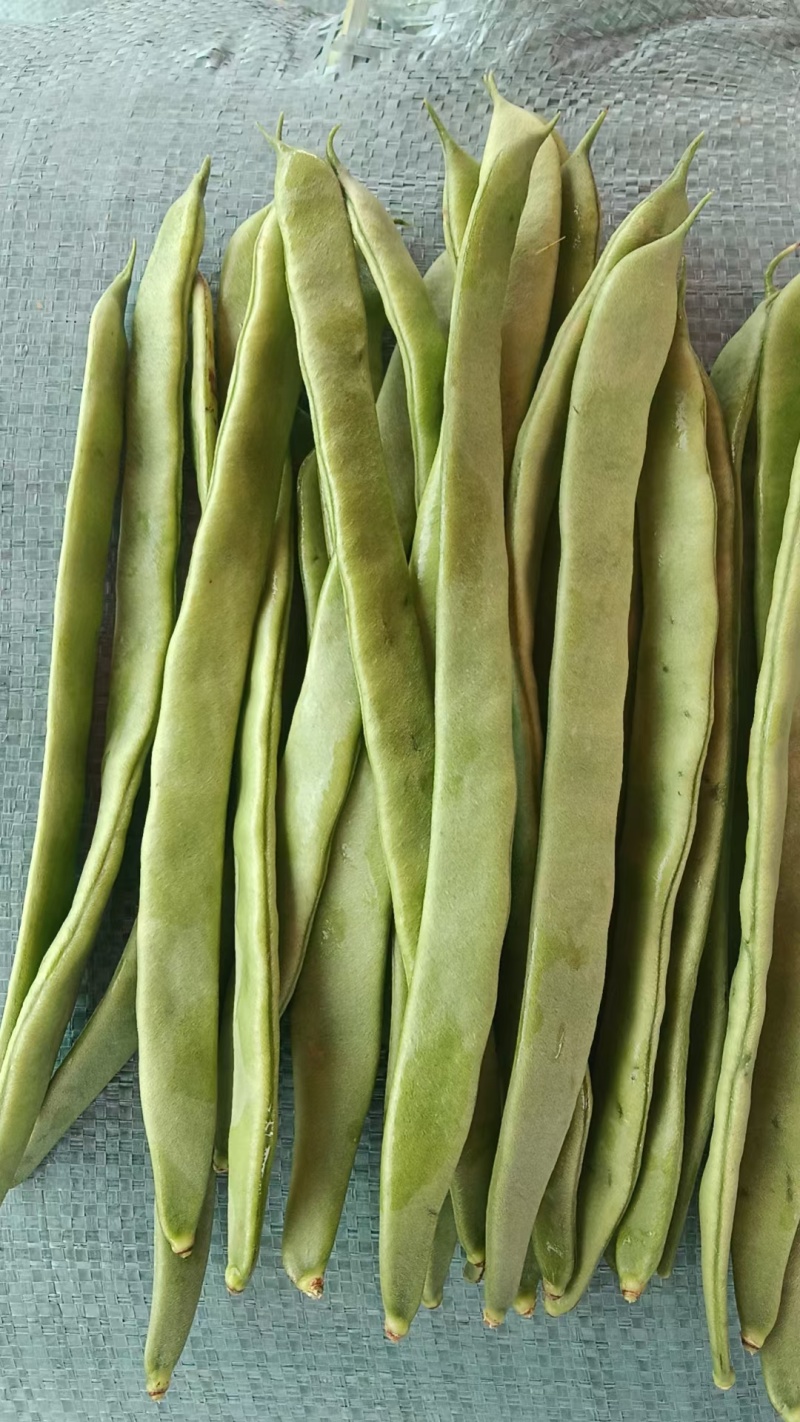 绿扁豆刀豆