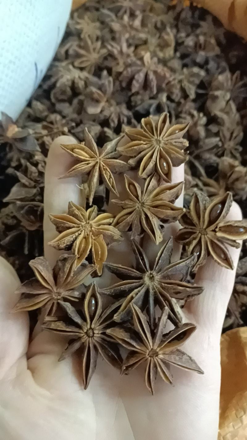 八角，也叫大茴香各种香料有货售后和质量保证