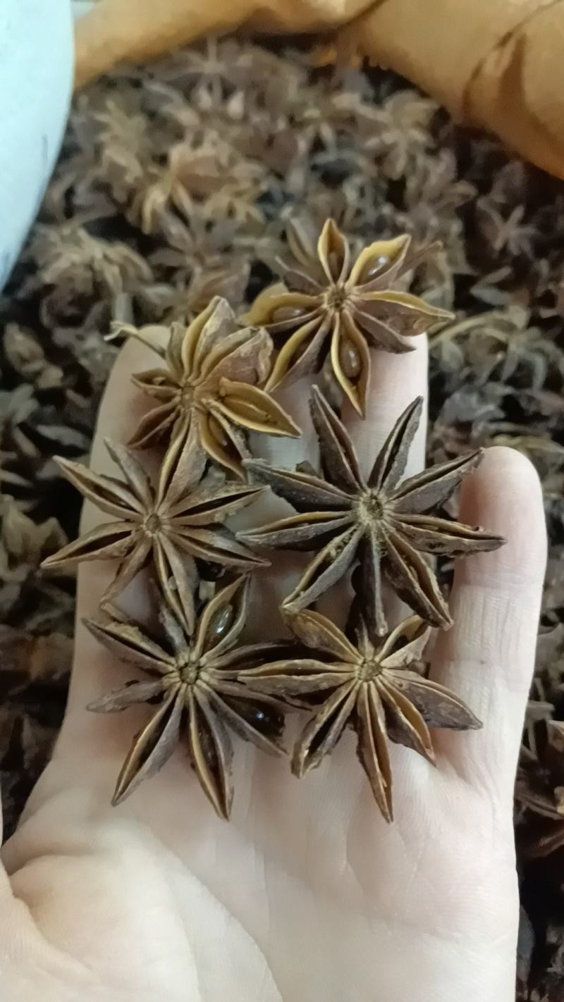 八角，也叫大茴香各种香料有货售后和质量保证
