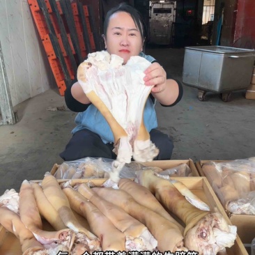 火烧毛去骨牛蹄，半去骨