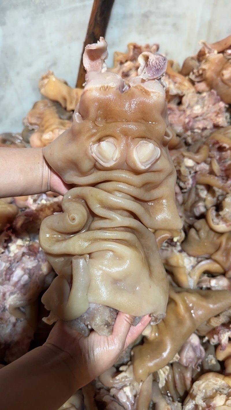 火烧毛去骨牛蹄，半去骨