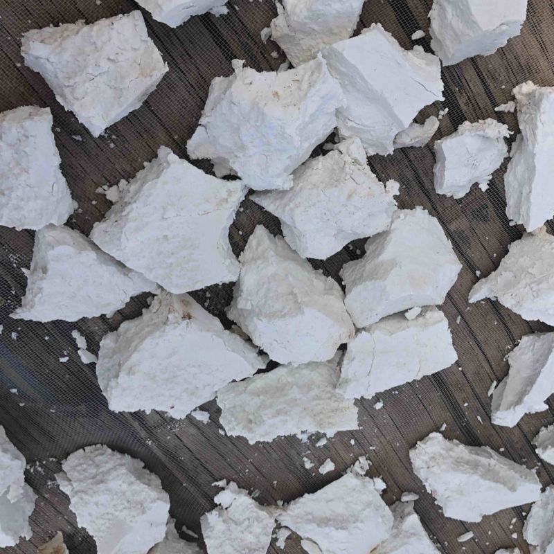 白茯苓云茯苓手工切块自然晒干无硫纯白块