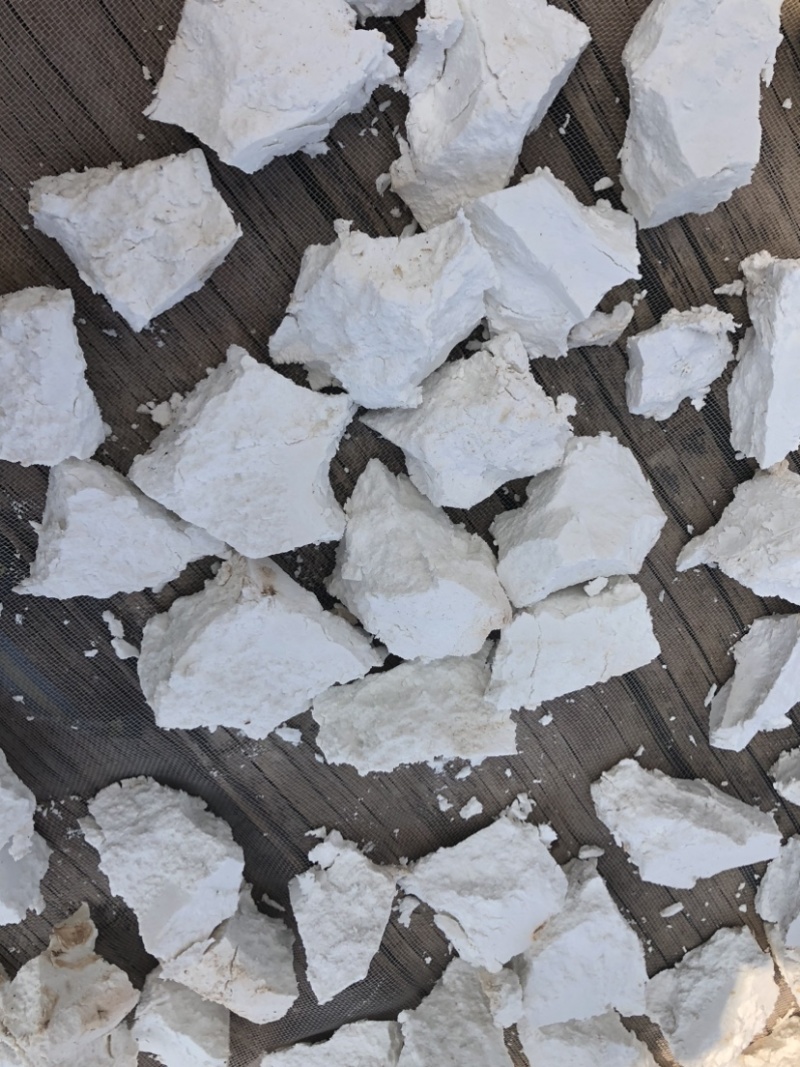 白茯苓云茯苓手工切块自然晒干无硫纯白块