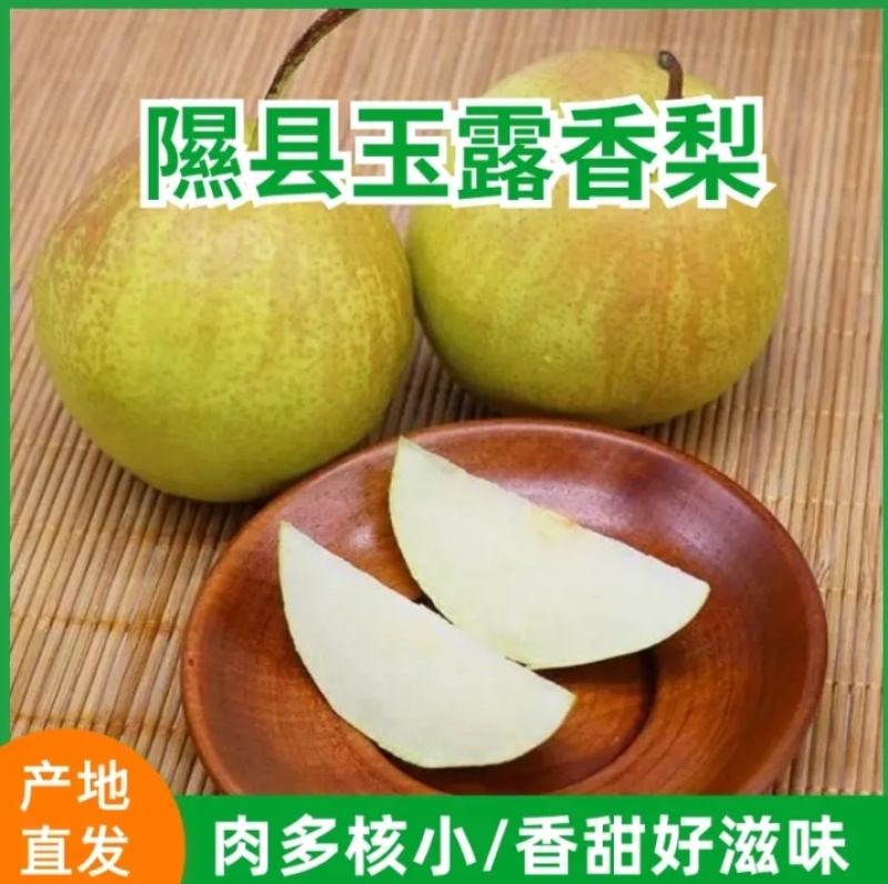 玉霞香梨