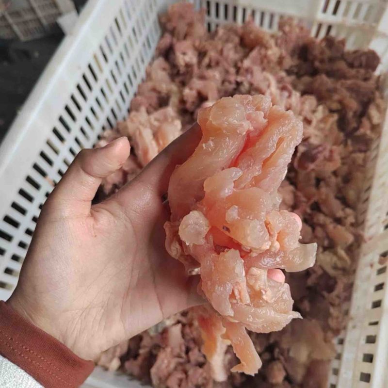 筋头巴脑，牛主筋，牛蹄筋，牛肉筋，牛拐筋，牛腩筋