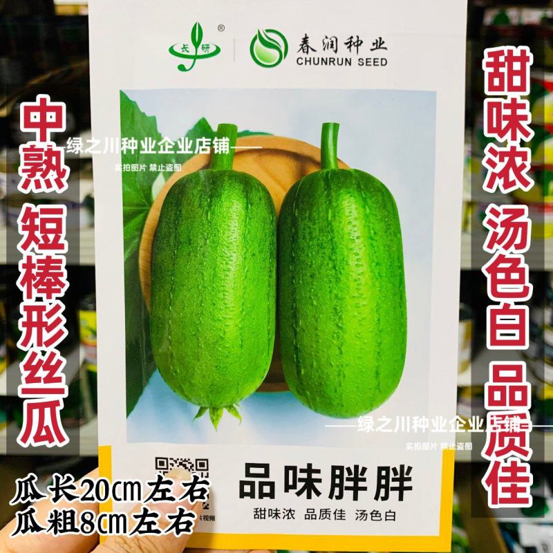 春润品味胖胖丝瓜种子味甜苹果丝瓜种子瓜香味浓水瓜种子短棒