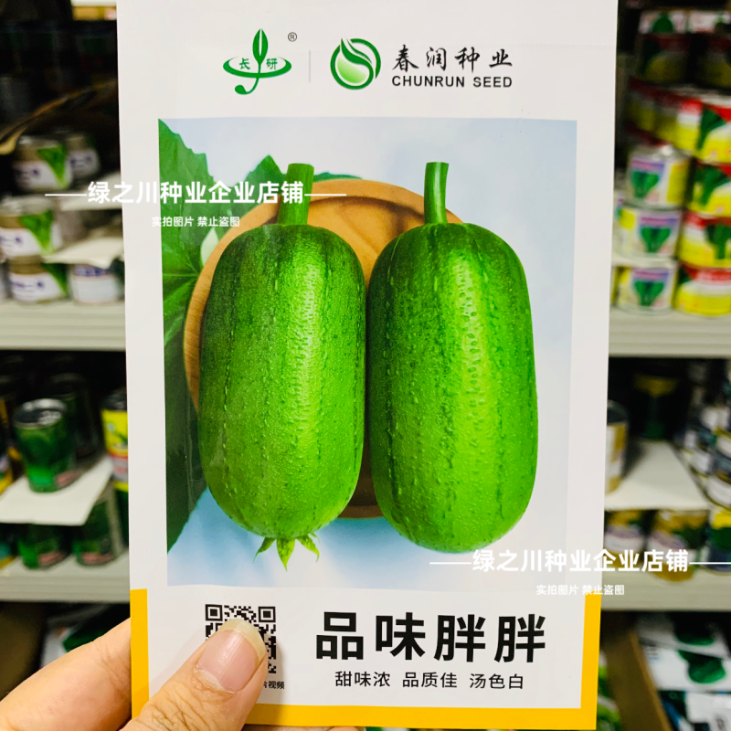 春润品味胖胖丝瓜种子味甜苹果丝瓜种子瓜香味浓水瓜种子短棒