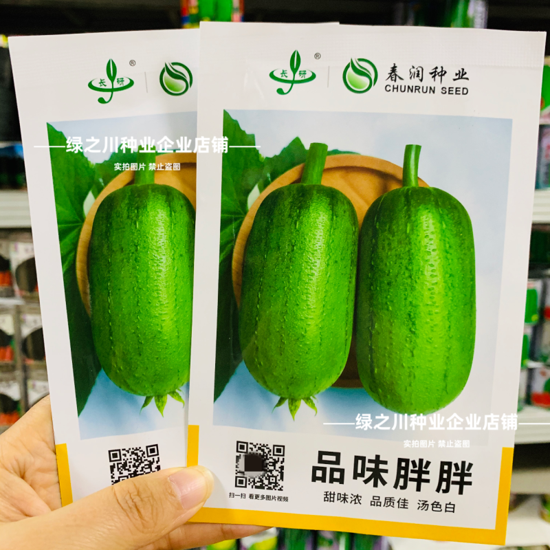 春润品味胖胖丝瓜种子味甜苹果丝瓜种子瓜香味浓水瓜种子短棒