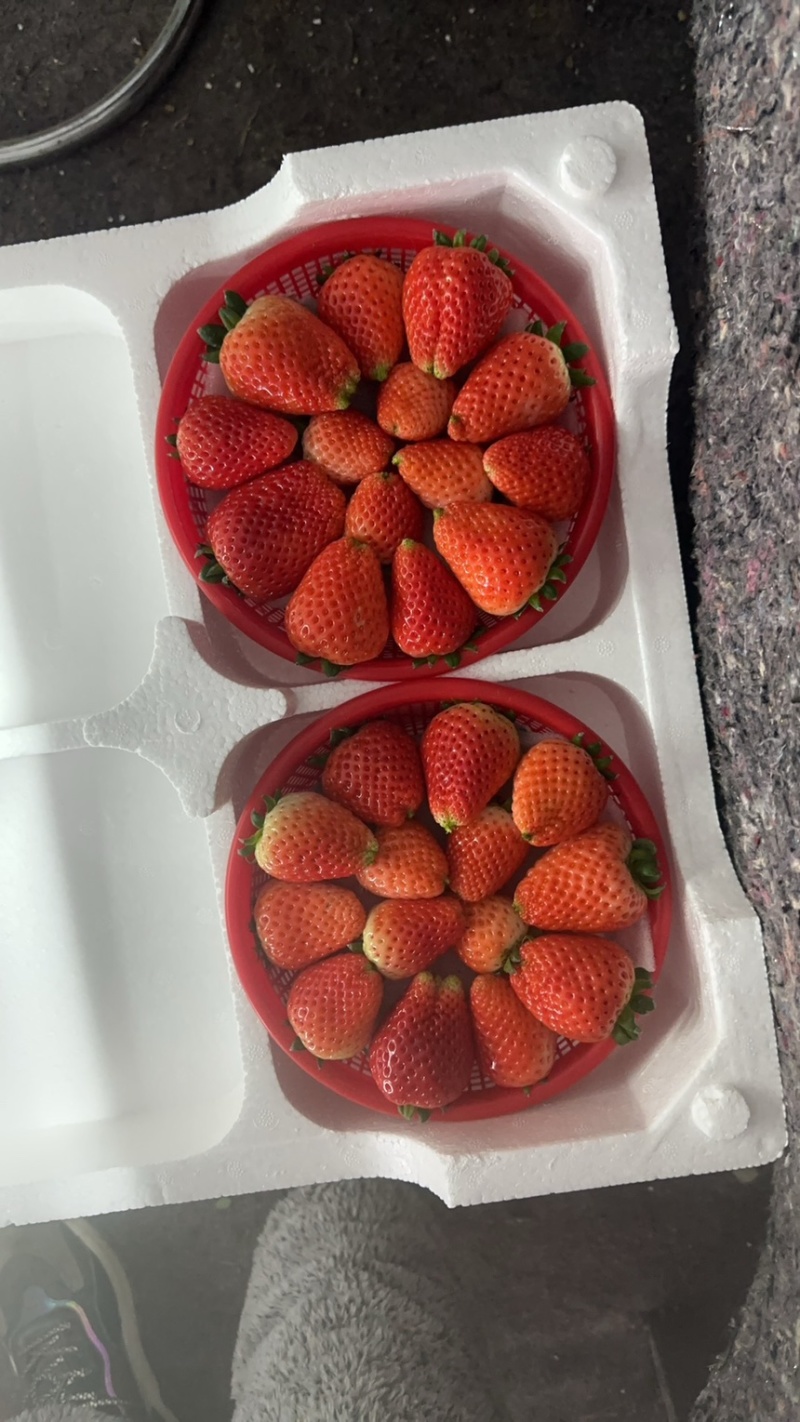 天仙醉草莓预售