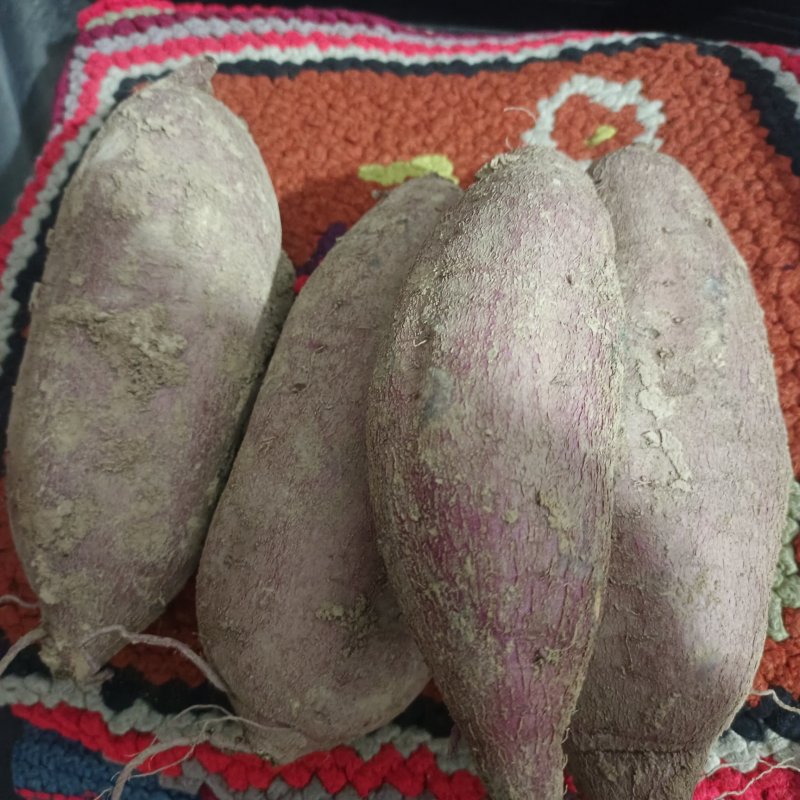 黄土高坡优质板栗著，口感纯，绵甜，地理位置优越