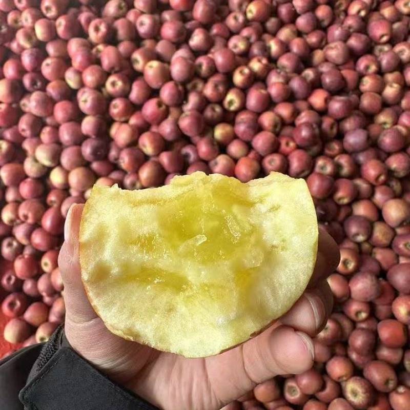昭通糖心丑苹果产地直发一手货源