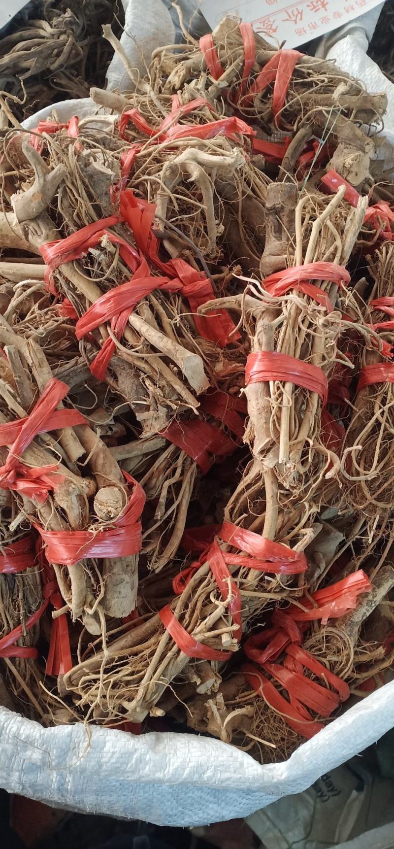 白花牛奶根中药批发一手货源量大优惠全国发货