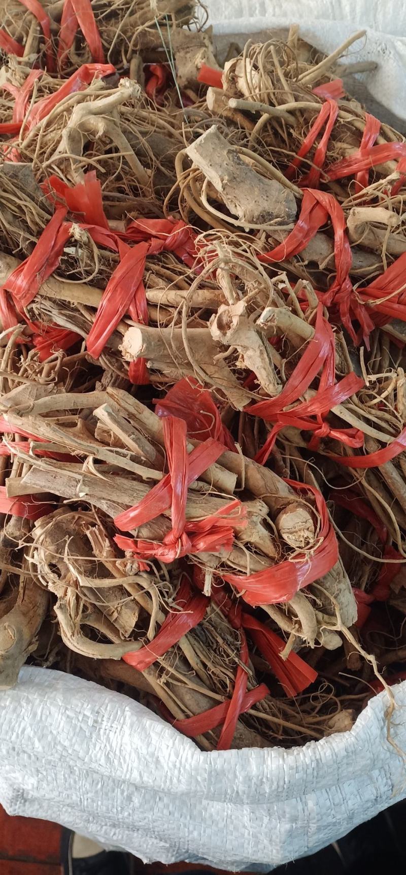 白花牛奶根中药批发一手货源量大优惠全国发货