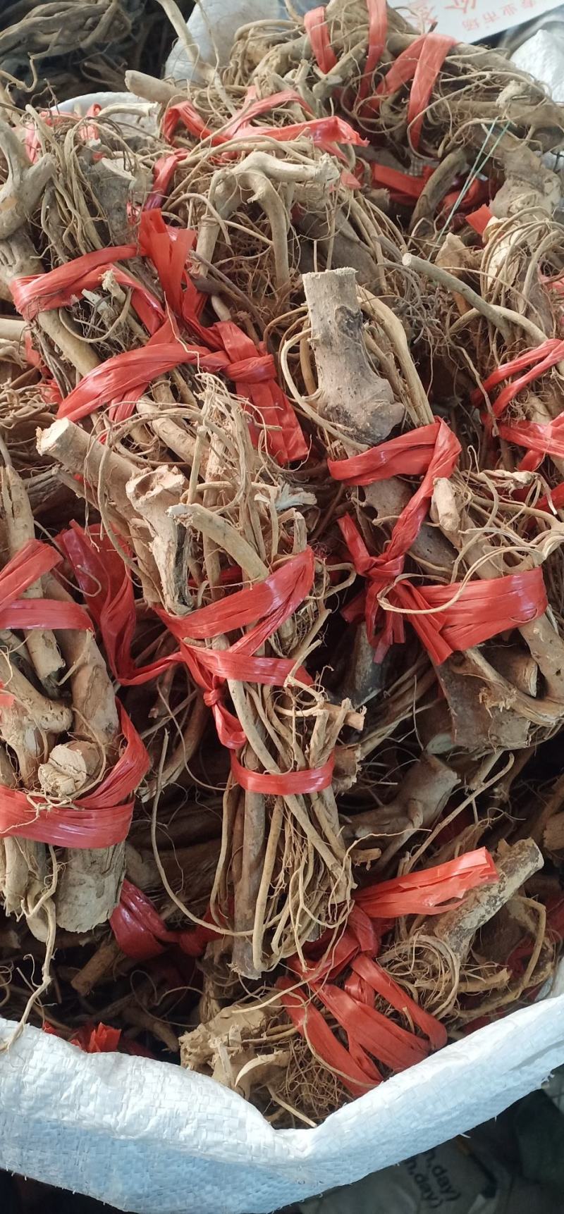 白花牛奶根中药批发一手货源量大优惠全国发货