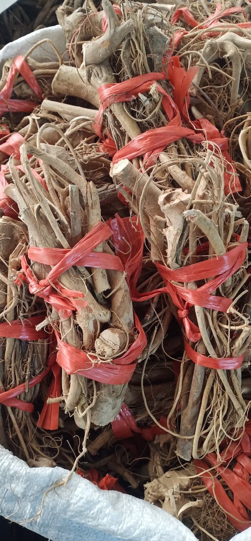 白花牛奶根中药批发一手货源量大忧惠全国发货