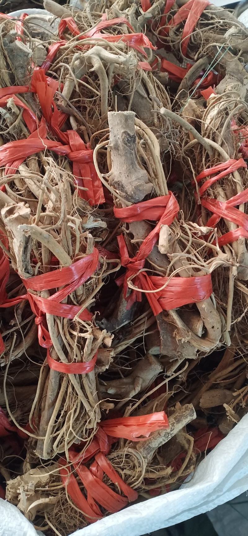 白花牛奶根中药批发一手货源量大忧惠全国发货
