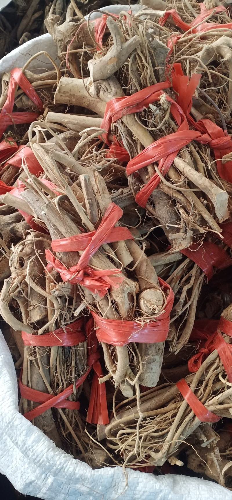 白花牛奶根中药批发一手货源量大忧惠全国发货