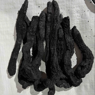 精品制肉苁蓉