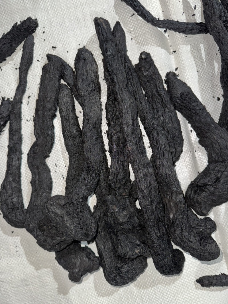 精品制肉苁蓉