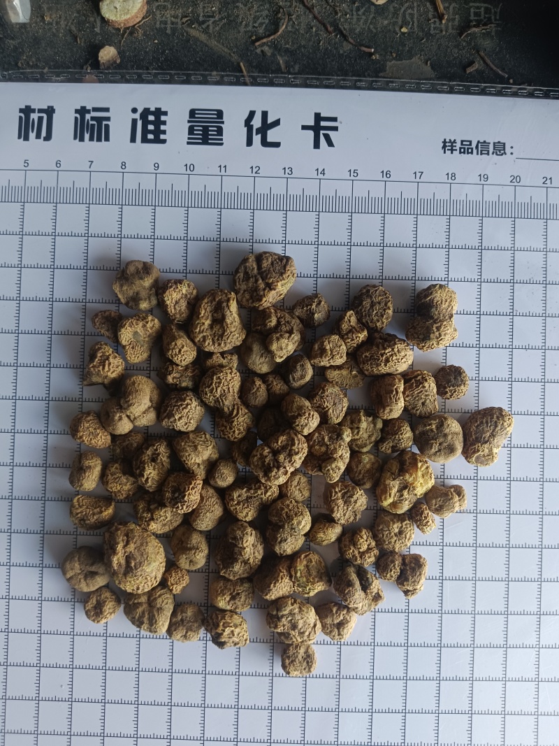 元胡，无硫，干度好质量保证实拍现货24小时内发货