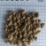元胡，无硫，干度好质量保证实拍现货24小时内发货