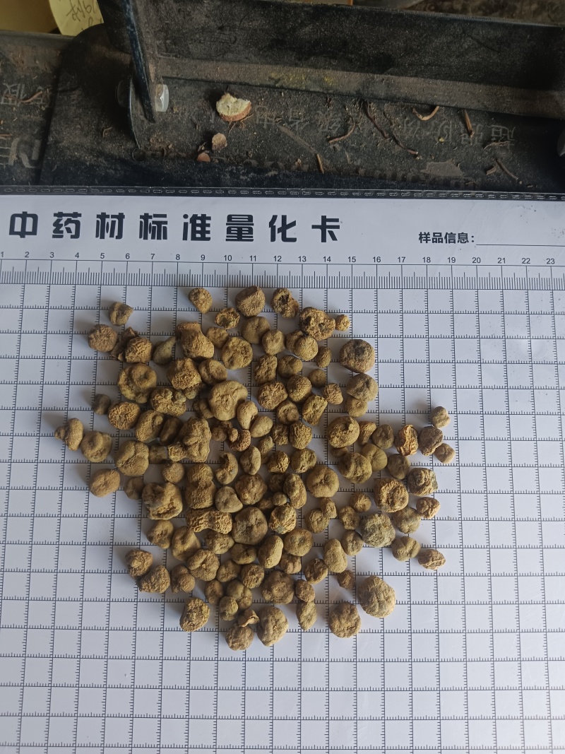 元胡，无硫，干度好质量保证实拍现货24小时内发货