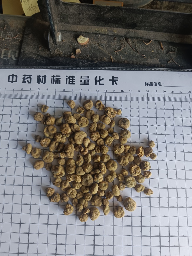 元胡，无硫，干度好质量保证实拍现货24小时内发货