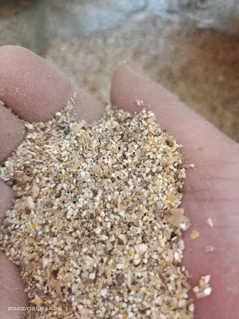 【饲料**】鸡鸭鹅养殖用细颗粒碎玉米，一手货源