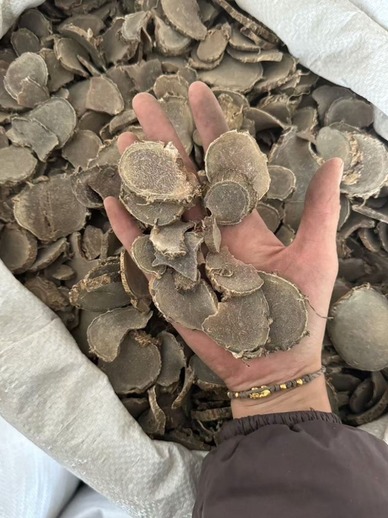 莪术文术莪术片现货发货如图干净无杂质现货