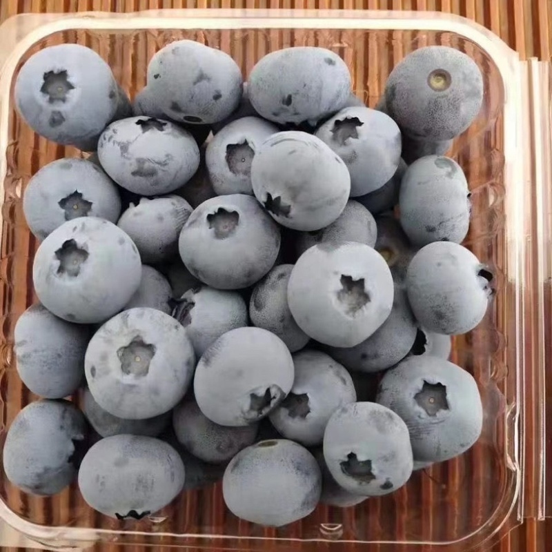 顺丰空运蓝莓水果现货新鲜采摘孕妇水果宝宝辅食批发一件代发
