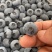顺丰空运蓝莓水果现货新鲜采摘孕妇水果宝宝辅食批发一件代发